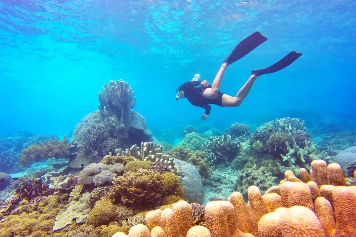 Snorkeling