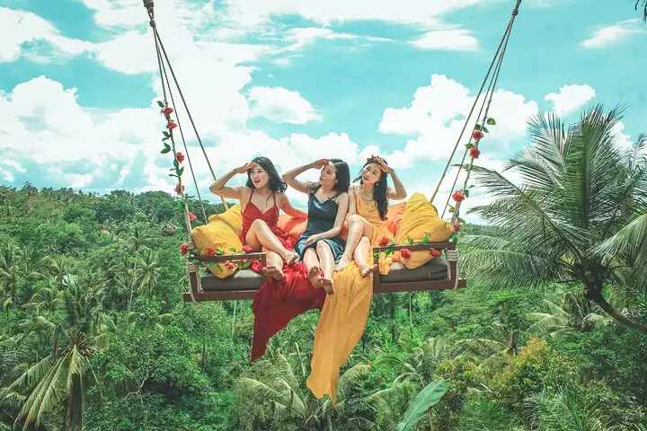Jungle Swing