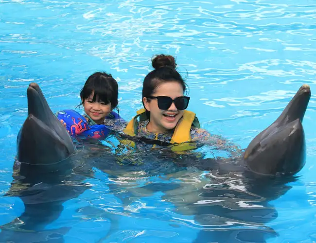 Dolphin Tour