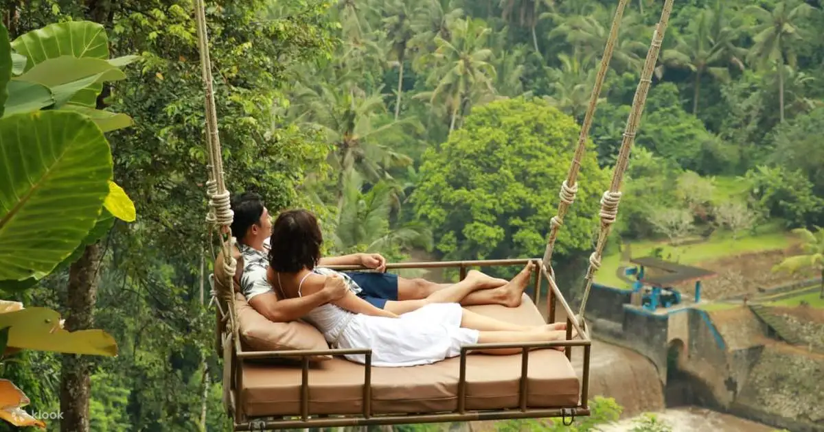 Jungle Swing