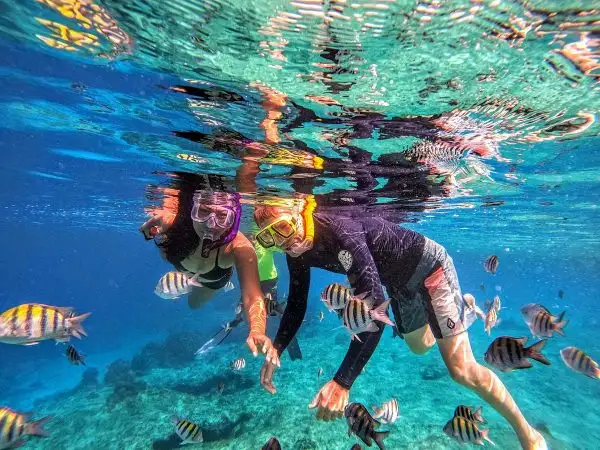 Snorkeling