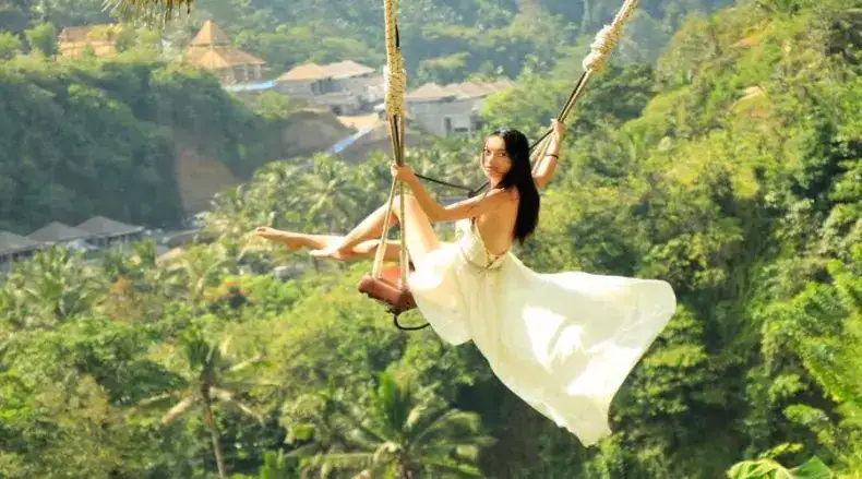 Ubud Tours