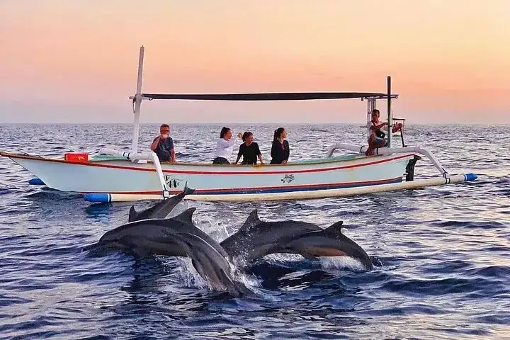 Dolphin Tour